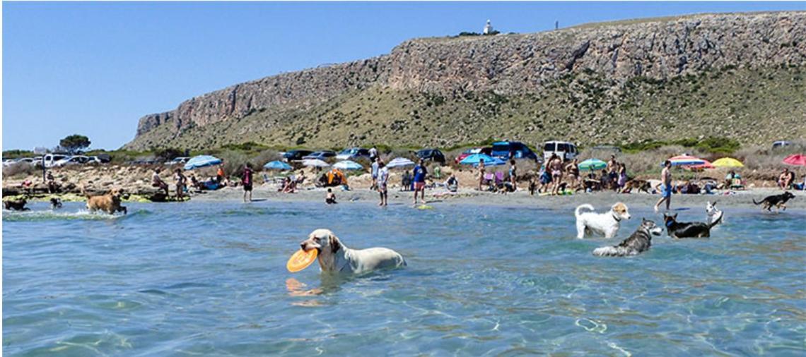 Adosado Tranquilo Con Piscina Y Vistas Al Mar Daire Puerto Marino Dış mekan fotoğraf